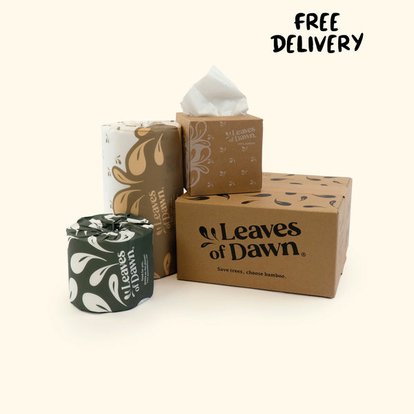 Leaves of Dawn Discovery Box – 3Ply